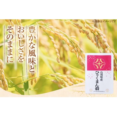 令和7年産 ひゃくまん穀 精米 2kg × 1袋 [みどりの波 38601390]