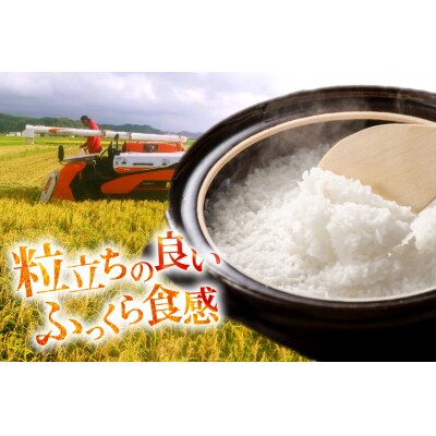 令和7年産 ゆめみづほ 精米 2kg × 1袋 [みどりの波 石川県 宝達志水町 38601389]