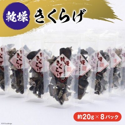 乾燥きくらげ　約160g [今浜苑 石川県 宝達志水町 38600519] 