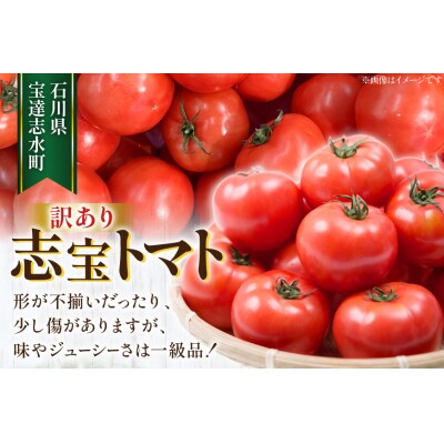 志宝トマト 大玉 約2kg [モアショップヤマモト 石川県 宝達志水町 38601138]