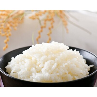 【6回 定期便 】米 コシヒカリ 「弘宝米」 精米 10kg 総計 60kg [38601285]