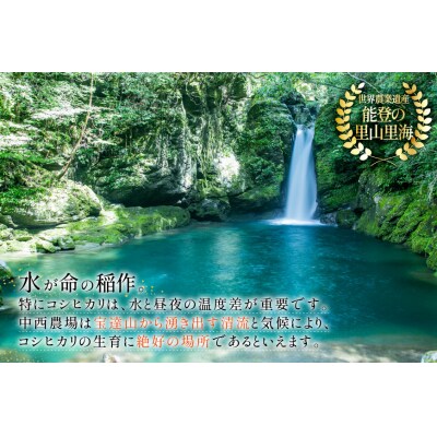米 定期便 ひゃくまん穀 「弘宝米」 精米 10kg ×6回 総計 60kg [38601371] 