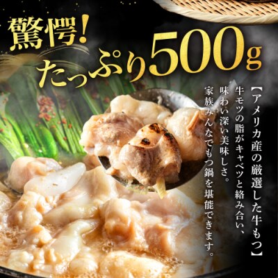 魚住商店あごだし【醤油仕立て】もつ鍋セット2～3人前、もつ増量500g【もつ鍋・醤油味】.AA503
