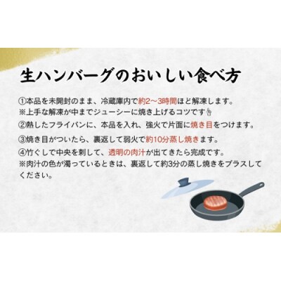 博多和牛生ハンバーグ140g×5個入り【博多和牛】.AA523