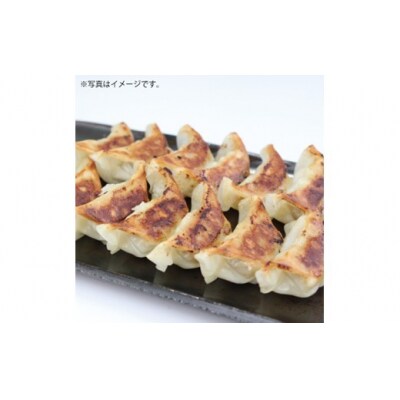 博多一風堂ひとくち餃子(7セット).AA526