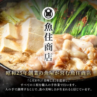 魚住商店特製塩もつ鍋セット2～3人前・〆のチャンポン麺付き【満足もつ増量500g】.AA527