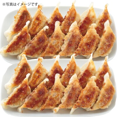 博多八助監修・うまかひとくち餃子(7セット).AA530