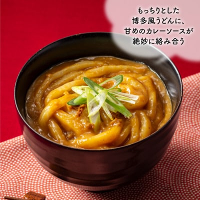【レンチンできる!】カレーうどんセット(200g×11個).AB620