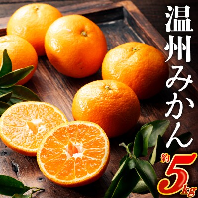 温州みかん(5kg程度)2026年11月～2027年1月配送.AB621