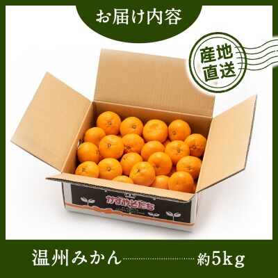 温州みかん(5kg程度)2026年11月～2027年1月配送.AB621