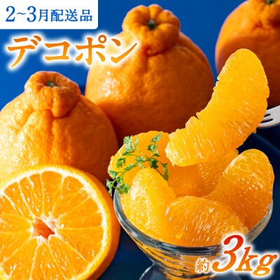 【昨年も大人気】デコポン(約3kg程度)/2027年2月～3月配送.AB622