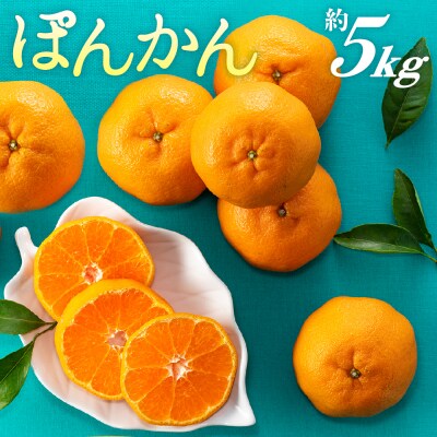ぽんかん(5kg程度)/2026年12月～2027年1月配送予定.AB623