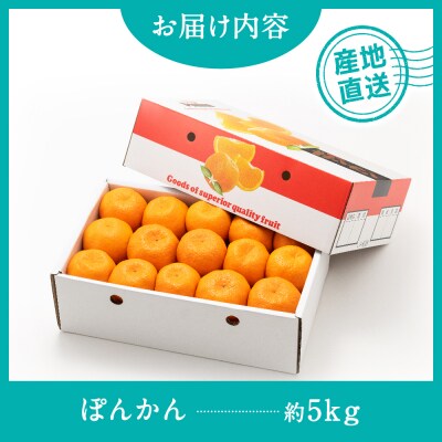 ぽんかん(5kg程度)/2026年12月～2027年1月配送予定.AB623