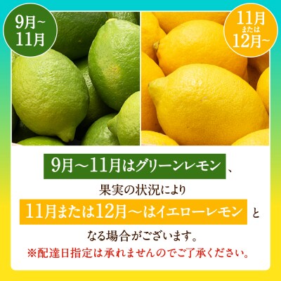 貴重な国産レモン.約5kg/2026年9月～2027年2月発送予定.AB625