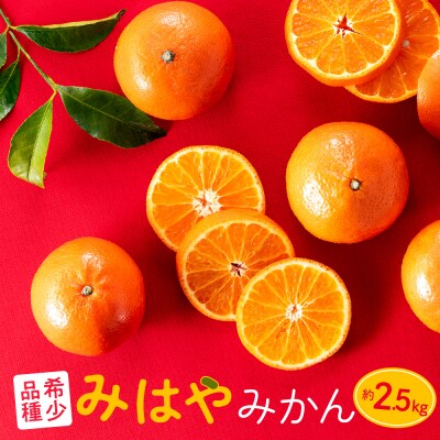 柑橘・みはやみかん/約2.5キロ(2026年12月上旬～2027年1月末発送予定).AB629