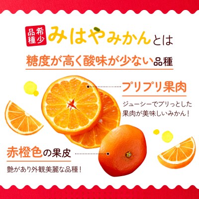 柑橘・みはやみかん/約2.5キロ(2026年12月上旬～2027年1月末発送予定).AB629
