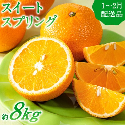 福岡柑橘王国・スイートスプリング/約8kg(2027年1月～2月配送予定).AB631