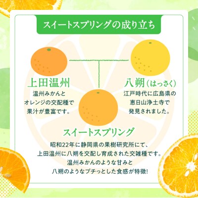 福岡柑橘王国・スイートスプリング/約8kg(2027年1月～2月配送予定).AB631