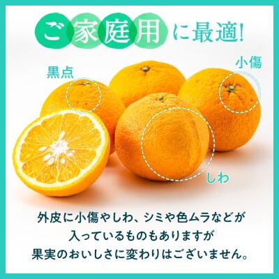 福岡柑橘王国・樹成り完熟甘夏/約8kg(2027年4月～5月配送予定).AB633