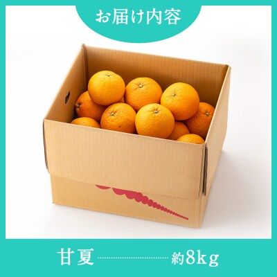 福岡柑橘王国・樹成り完熟甘夏/約8kg(2027年4月～5月配送予定).AB633