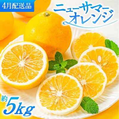 福岡柑橘王国.ニューサマーオレンジ約5kg/2027年4月配送.AB638