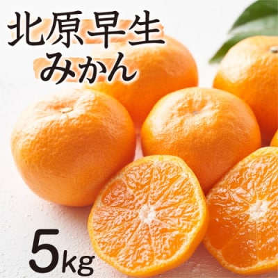 【予約受付・期間限定商品】北原早生みかん(5kg程度).2026年10月～11月配送.AB645