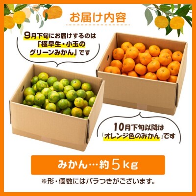 いわくま果樹園の温州みかん(約5kg)/2026年9月下旬～2027年1月下旬発送予定.AB660