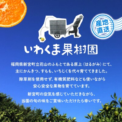 いわくま果樹園の温州みかん(約5kg)/2026年9月下旬～2027年1月下旬発送予定.AB660