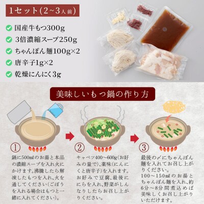 伊藤家.博多あごだし入り.もつ鍋しょうゆ味(2～3人前)【もつ鍋・醤油味】.AB672