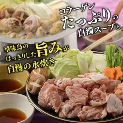 【博多華味鳥】水たきセット(3～4人前)【水炊き】.AG193