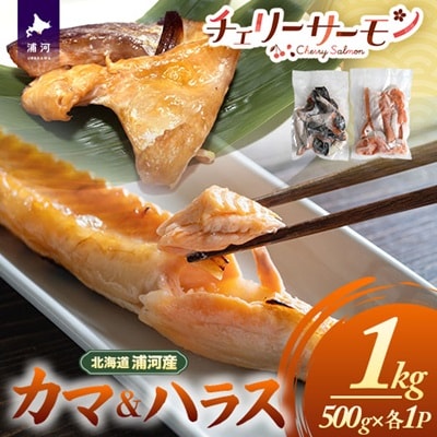 北海道日高産「チェリーサーモン」カマ&ハラス(各500g)セット[01-1542]