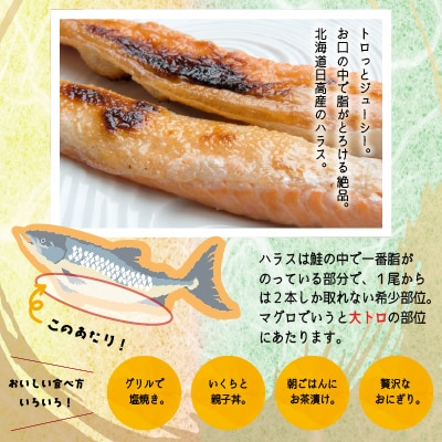 北海道日高産「チェリーサーモン」カマ&ハラス(各500g)セット[01-1542]