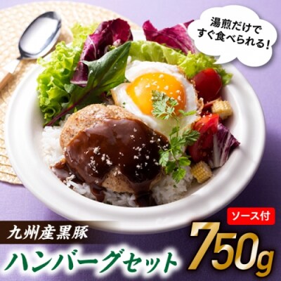 九州産黒豚ハンバーグセット.AC393