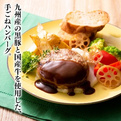 九州産黒豚ハンバーグセット.AC393