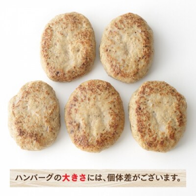 九州産黒豚ハンバーグセット.AC393