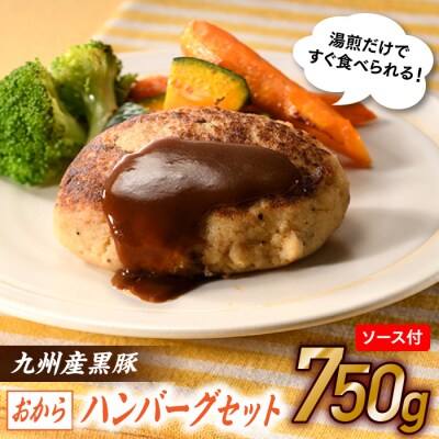 九州産黒豚おからハンバーグセット.AC394