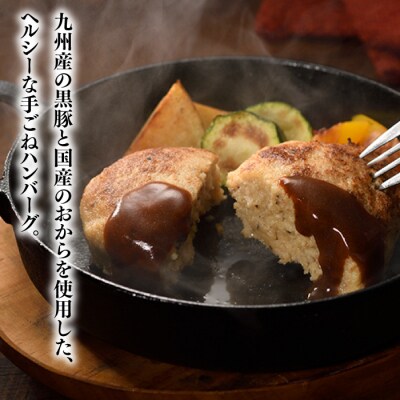 九州産黒豚おからハンバーグセット.AC394
