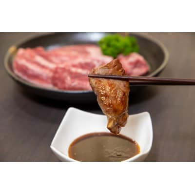 博多和牛A4ランク以上・希少部位おまかせ6種セット【博多和牛】.AH145
