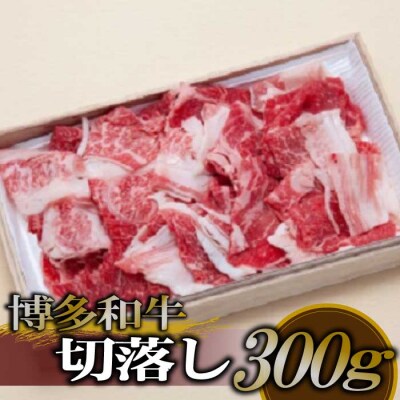 博多和牛切落し300g【博多和牛】.AC407