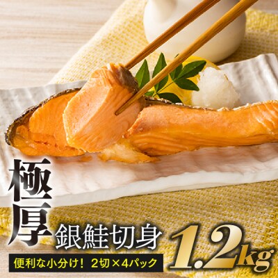 定塩(塩鮭)銀鮭極厚切身(約1.2キロ).AC410