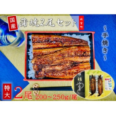 国産うなぎ蒲焼2尾(計400～500g).AI096