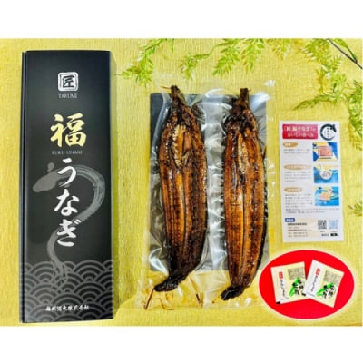 国産うなぎ蒲焼2尾(計400～500g).AI096
