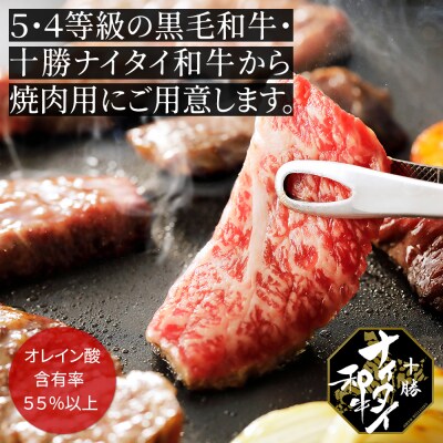 十勝ナイタイ和牛 焼肉 計600g 北海道産 5・4等級黒毛和牛