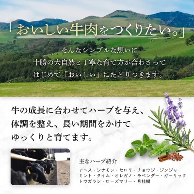 十勝ハーブ牛 サーロイン ステーキ 計800g(200g×4枚) 北海道産 牛肉 赤身