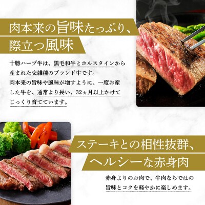 十勝ハーブ牛 サーロイン ステーキ 計800g(200g×4枚) 北海道産 牛肉 赤身