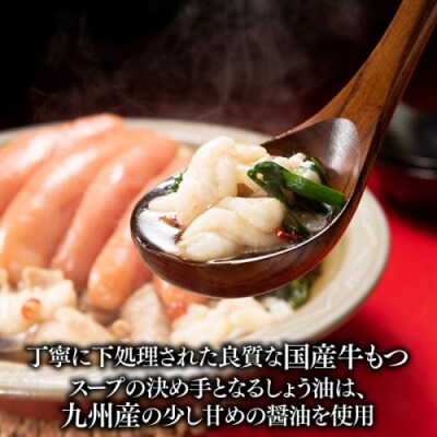 【海千】博多めんたいもつ鍋2～3人前セット.BA093