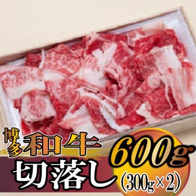 博多和牛切落し600g(300g×2)【博多和牛】.BB054