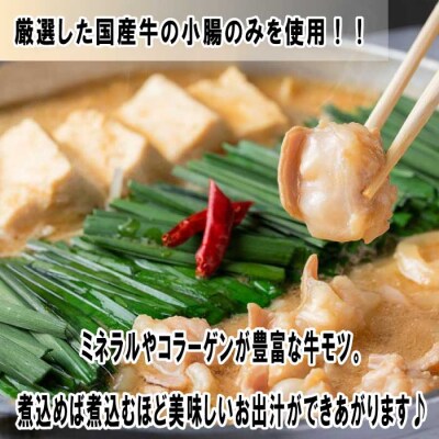 博多味処「いろは」の博多もつ鍋/2～3人前(あごだし味噌)【もつ鍋・味噌味】.AF213