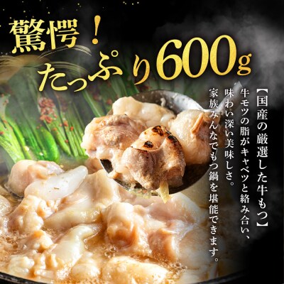 魚住商店【国産牛もつ使用】特製塩もつ鍋セット4～6人前・〆のチャンポン麺付き.AF202
