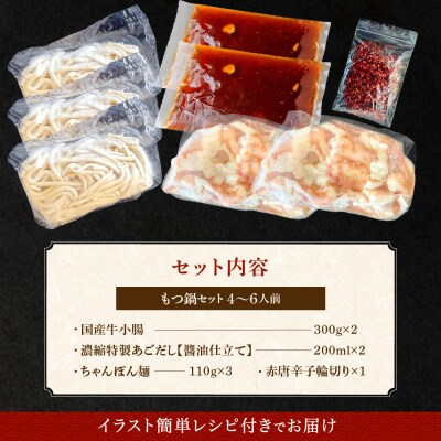 魚住商店【国産牛もつ使用】あごだし醤油もつ鍋セット4～6人前【もつ鍋・醤油味】.AF201